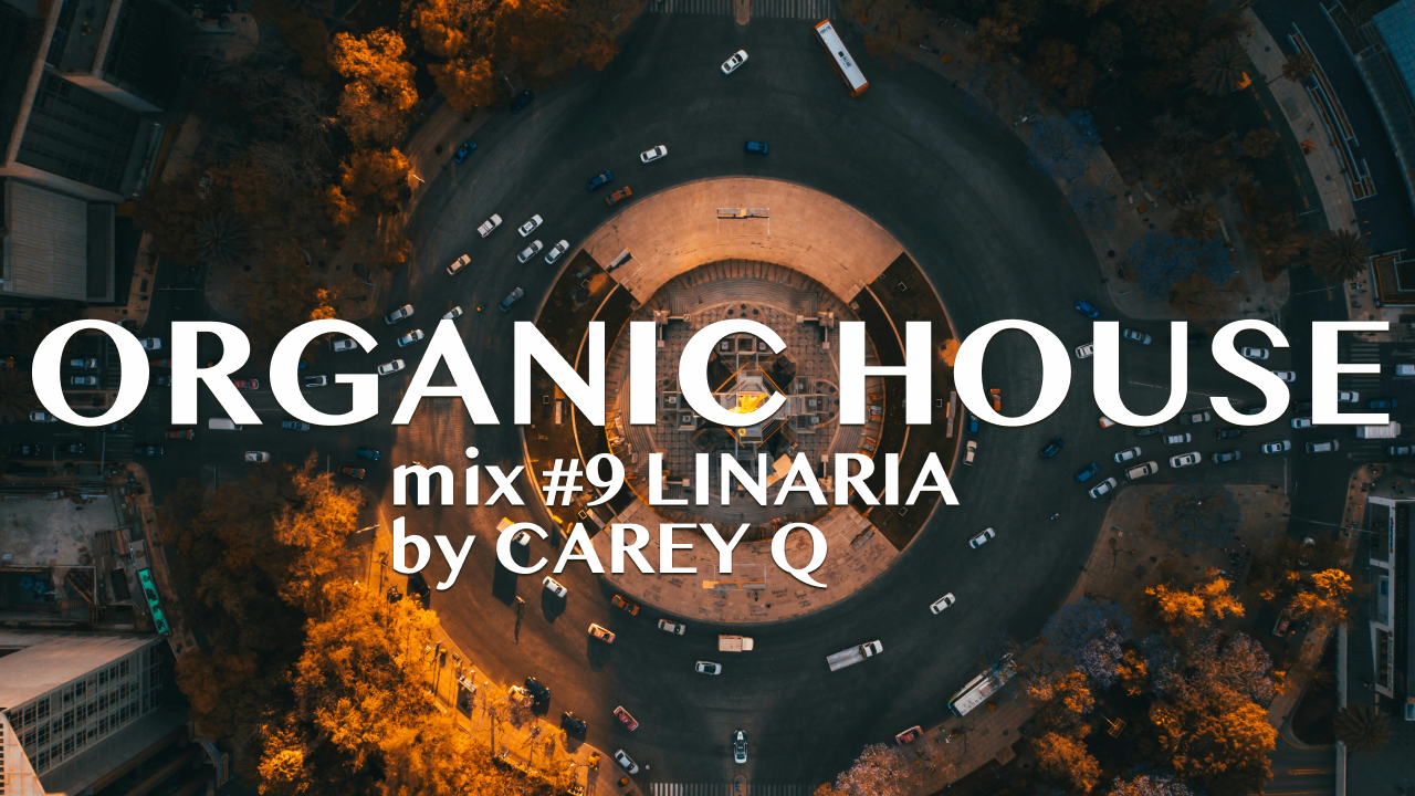 Organic House Mix#9 Linaria