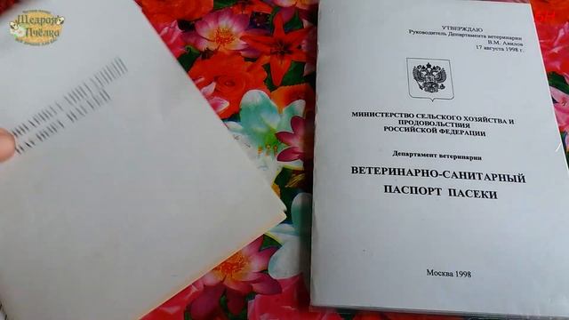 Мастерство и Саморазвитие