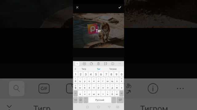 Лучший редактор фото Polish Pro
