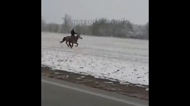Абдуллах1 Анзоров (маленький воин) говорит Аллах1 един. похороны Абдуллах1а смотреть онлайн