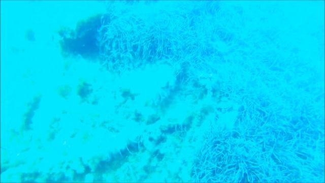 FINAL DIVE OF OPEN WATER DIVING COURSE WITH BIG BLUE DIVING MALLORCA смотреть онлайн