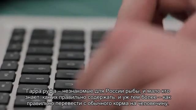 Новое блюдо от салонов красоты – рыбный пилинг