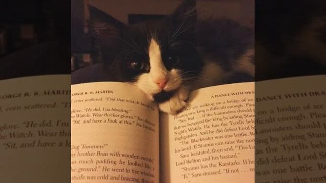 Если я вдруг исчезну, ты будешь меня искать? смотреть онлайн