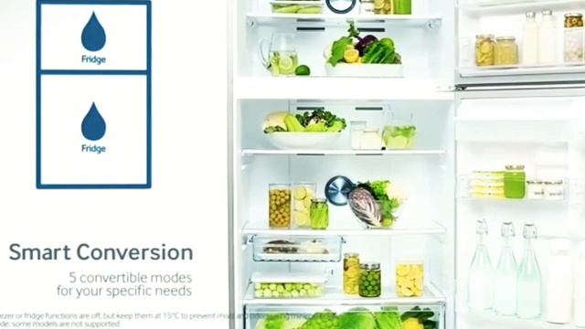 बेस्ट फ्रीज | Buying Guide | Samsung 465 L 4 Star Frost Free Double Door Refrigerator RT47M623ESL/T смотреть онлайн