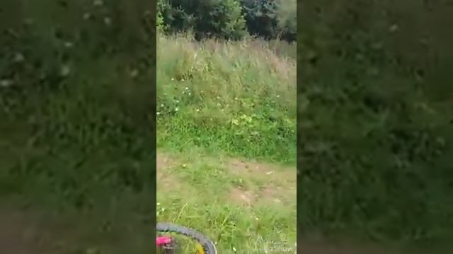 Влог с Кэйти возле речки #2 смотреть онлайн