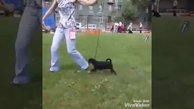 бэби, первая выставка смотреть онлайн