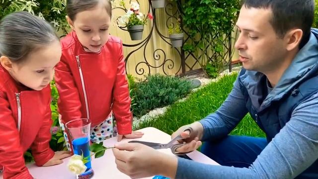 ФОКУС С СИНЕЙ РОЗОЙ | КАК СДЕЛАТЬ СВОИМИ РУКАМИ / Focus with a blue rose смотреть онлайн