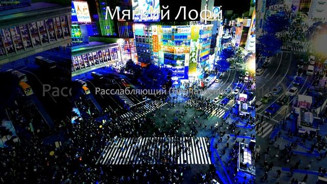 Созерцая (Фокус)