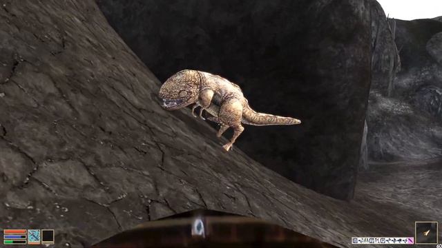 The Elder Scrolls III: Morrowind. Прохождение. Архимаг (часть 93)