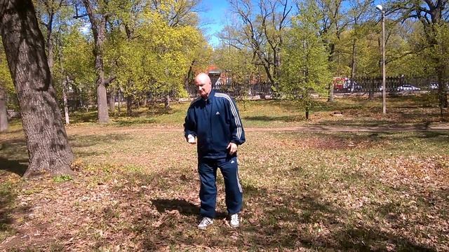 Тайцзи "Белый журавль расправляет крылья" и "Почистить рукой колено" смотреть онлайн