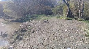 Рыбалка на реке камаровка Уссурийск