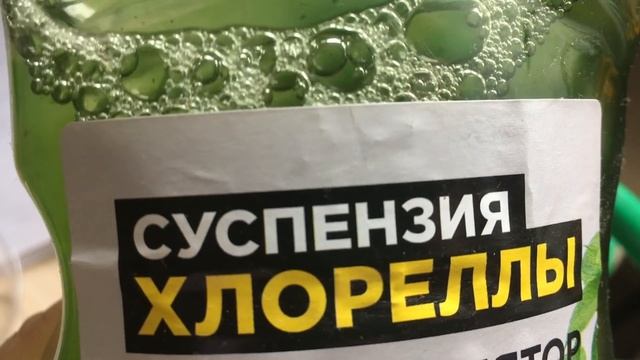 Оригинальный способ укоренения черенков смотреть онлайн