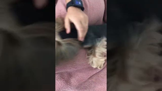 Будим Соню смотреть онлайн