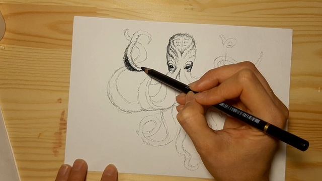 Как нарисовать осьминога карандашом поэтапно для начинающих смотреть онлайн