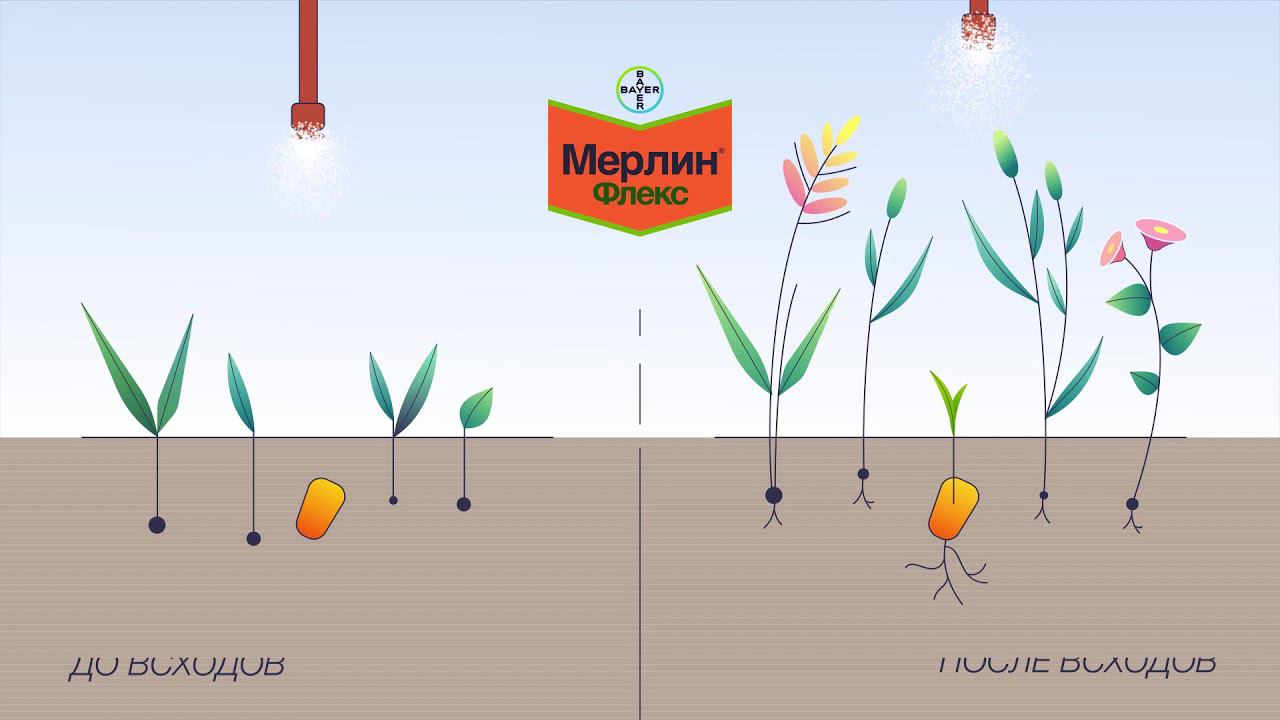 Merlin Flex new diktor смотреть онлайн
