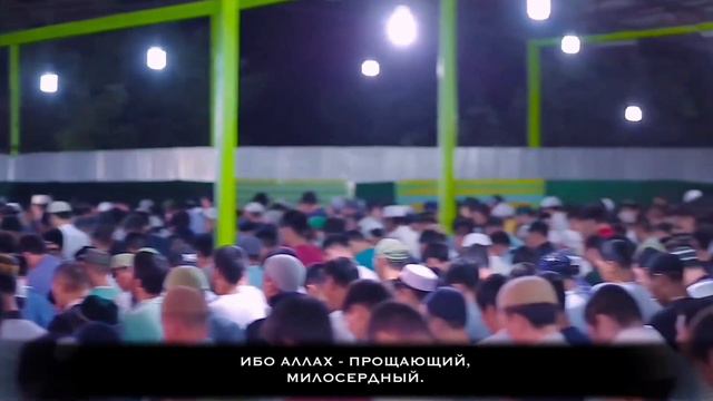 Сиратуллах Раупов в Казахстане | Сура «Маида» [27-47] смотреть онлайн
