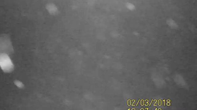 Свирь судак на русле смотреть онлайн