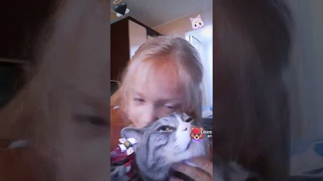 мой кот😁😇🐱🐱 смотреть онлайн