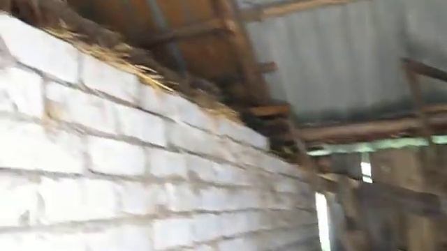 Сарай