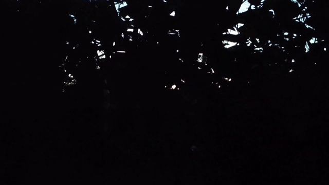 Герой или волонтер-пиарщик? смотреть онлайн