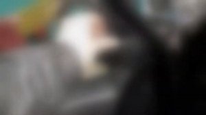 Паджеро как разобрать переднюю дверь