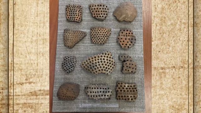 "Дары музею" смотреть онлайн