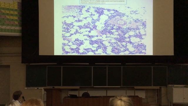 Разбор препаратов ко 2 коллоквиуму, 2 курс. Частная гистология смотреть онлайн