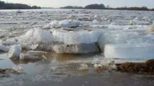 А.П. Чехов "Весной"