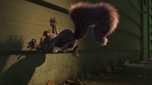 Реальная Белка!