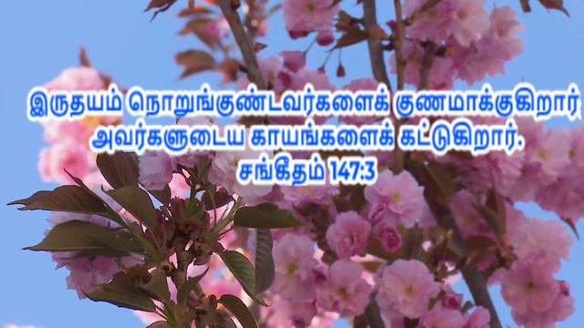 Psalms 147:3 (Tamil) смотреть онлайн