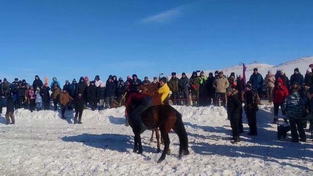 Борьба на конях ? .....РБ Абзелиловский р-н., д. Таштимирова смотреть онлайн