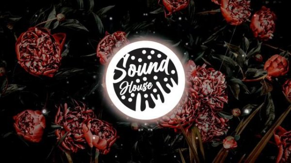 ROSALÍA & Travis Scott - TKN