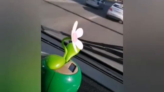 диман учиться делать видео но не хера не получается смотреть онлайн