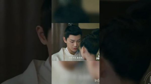 Роман тигра и розы 🌹