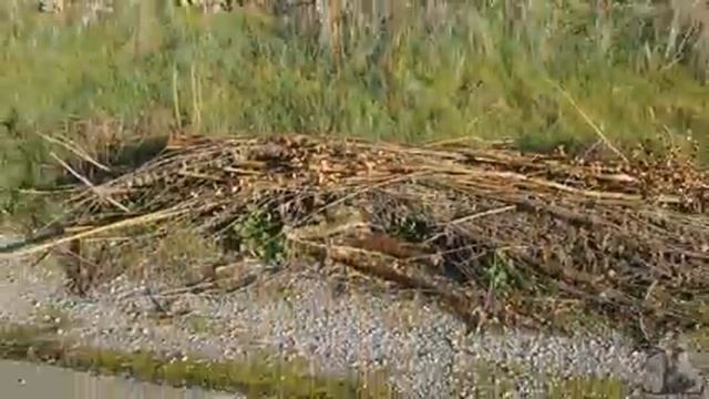 ФИЛЬТР для очистки воды при выживании смотреть онлайн