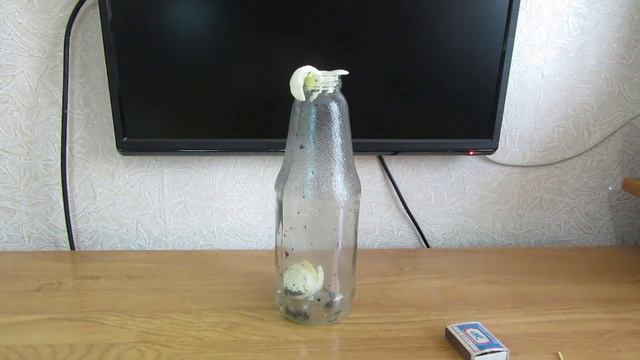 ПОНИЖЕННОЕ ДАВЛЕНИЕ В БУТЫЛКЕ ПРОСТО РАЗРЫВАЕТ 📥🍶💣💥 Опыты и эксперименты ➄ смотреть онлайн