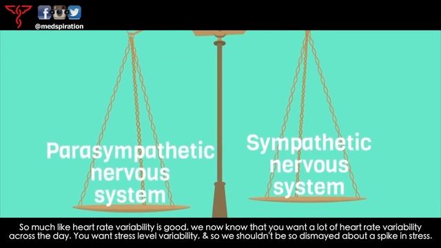 Andrew Huberman, Ph.D. - The Fastest Way to Adjust your Stress Levels смотреть онлайн