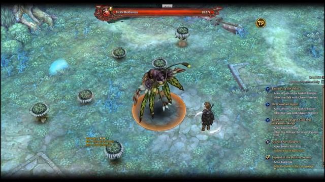 Game Review: Tree of Savior смотреть онлайн
