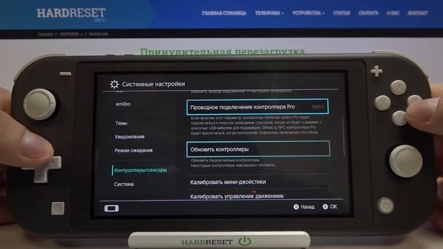 Настройка вибраций Nintendo Switch Lite / Как включить/выключить вибрацию на Nintendo Switch Lite? смотреть онлайн