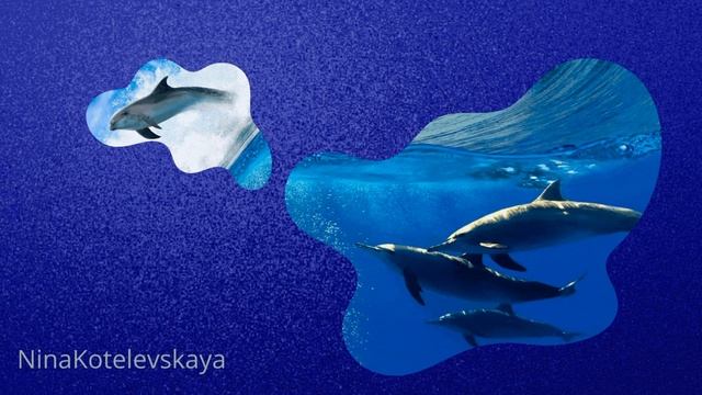 УРОК С МАСКАМИ В CANVA смотреть онлайн