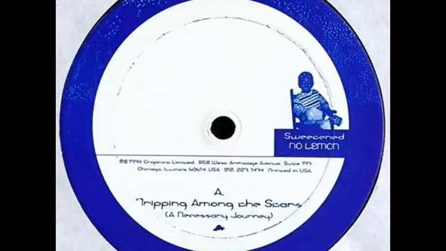 Sound Patrol - Tripping Among The Stars (A Necessary Journey) смотреть онлайн