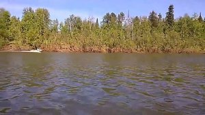 Перемет,перетяга на судака!C лодки ПВХ!