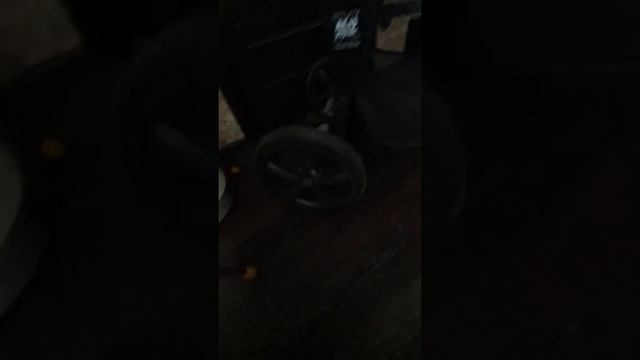 обзор cam cortina evolution и peg perego gt3 смотреть онлайн