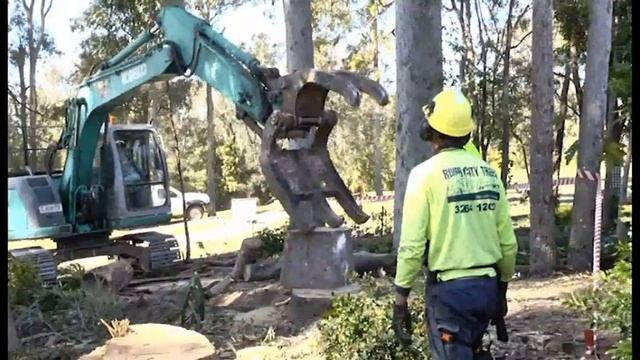 Lopping Warner River City Tree Services Pty Ltd смотреть онлайн