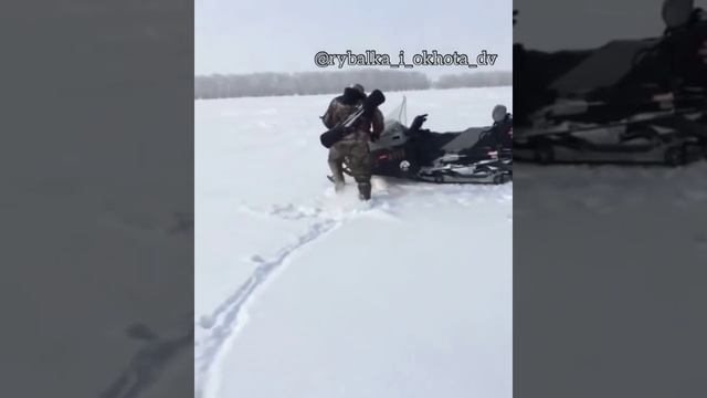Припадочный заяц смотреть онлайн