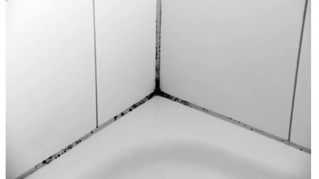 Суперсредство от плесени убирает грибок на ура и никакого жуткого запаха! довольна, что нашла смотреть онлайн