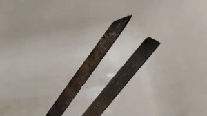 рога лося очистка черепа