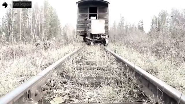 Забытые Поселки Отшельники Брошенные Среди Тайги смотреть онлайн