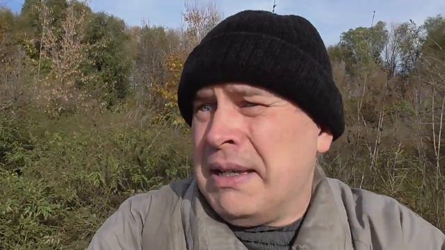 Человек в лесу нашёл болото смотреть онлайн