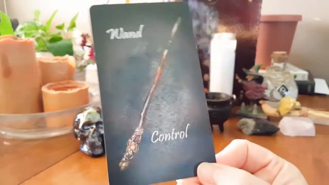 The Witches World Oracle Deck || Walkthrough смотреть онлайн